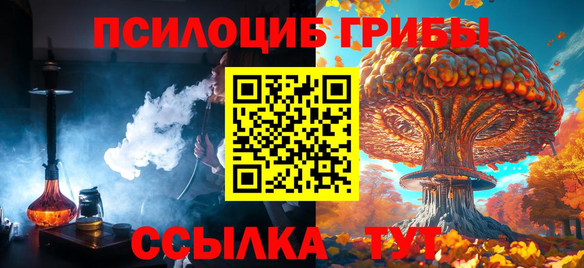 купить закладку  Псилоцибиновые грибы MAGIC MUSHROOMS  Вход с VPN  Псилоцибиновые грибы Cubensis  Чусовой 